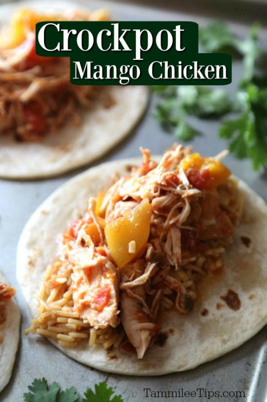 Crockpot Mango Salsa Chicken Recipe