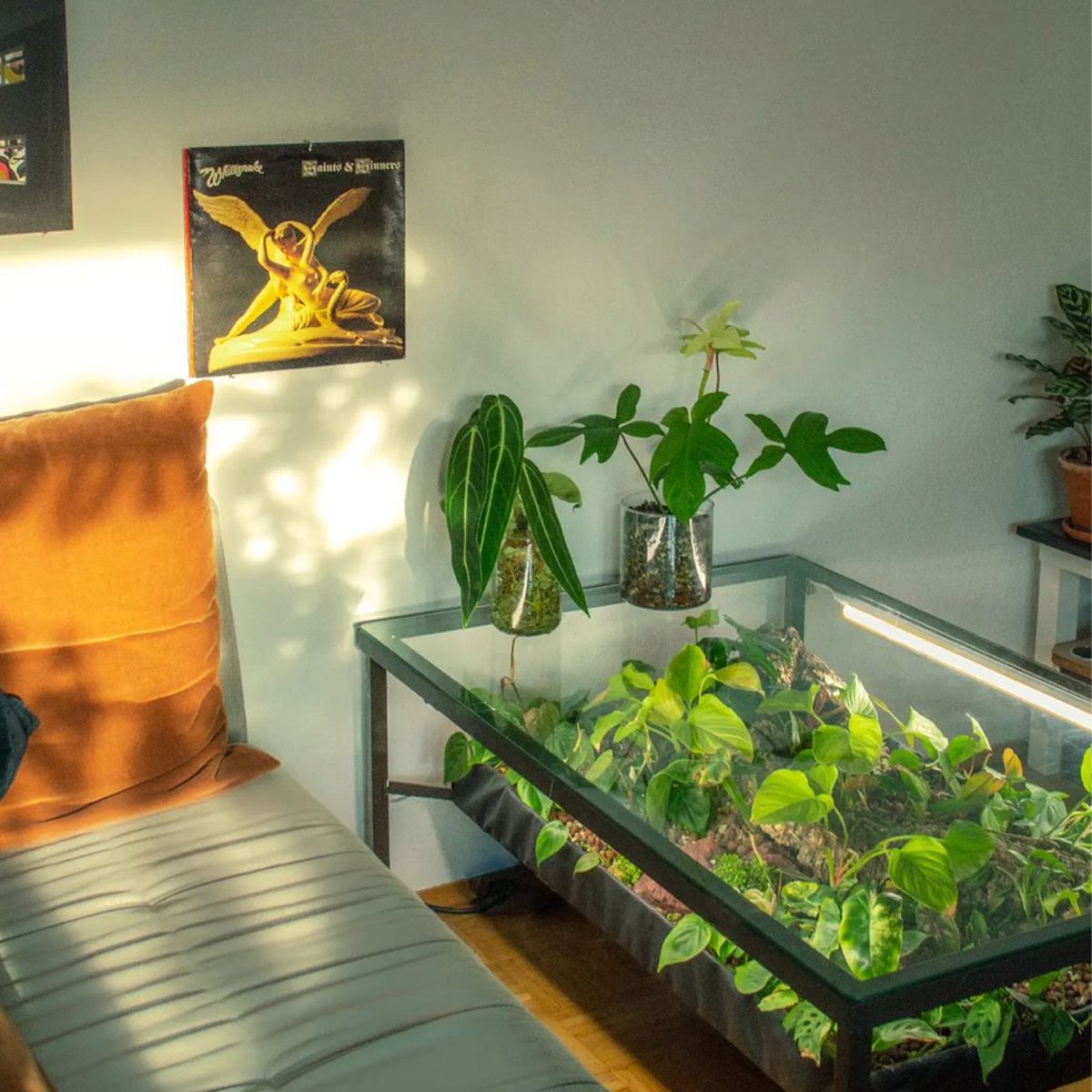 9 DIY Indoor Greenhouses