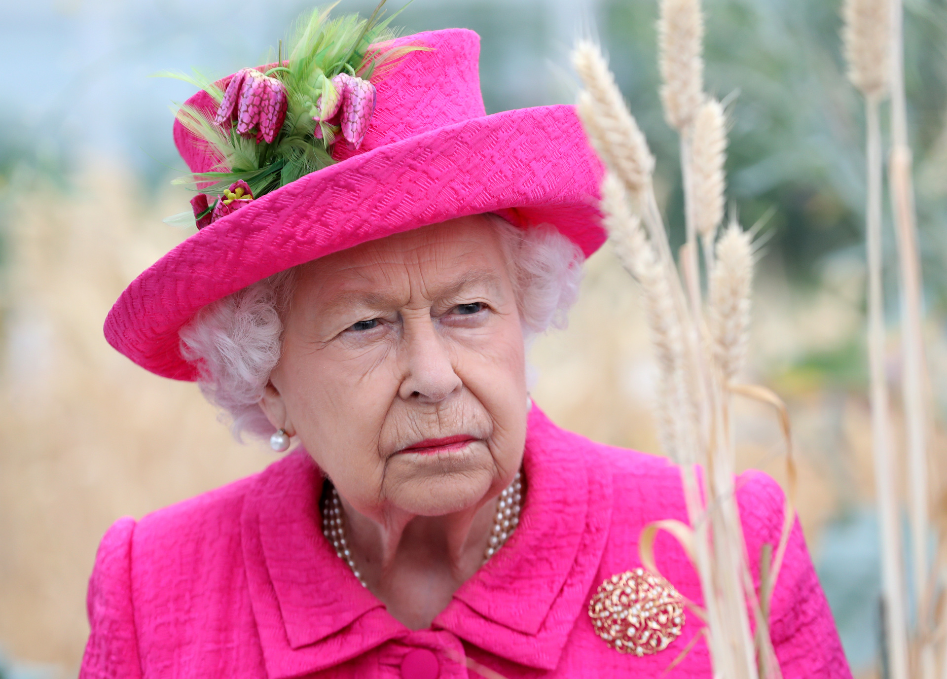 British queen. Её величество Королева. Королева Британии зеленка. Самочувствие королевы Великобритании.