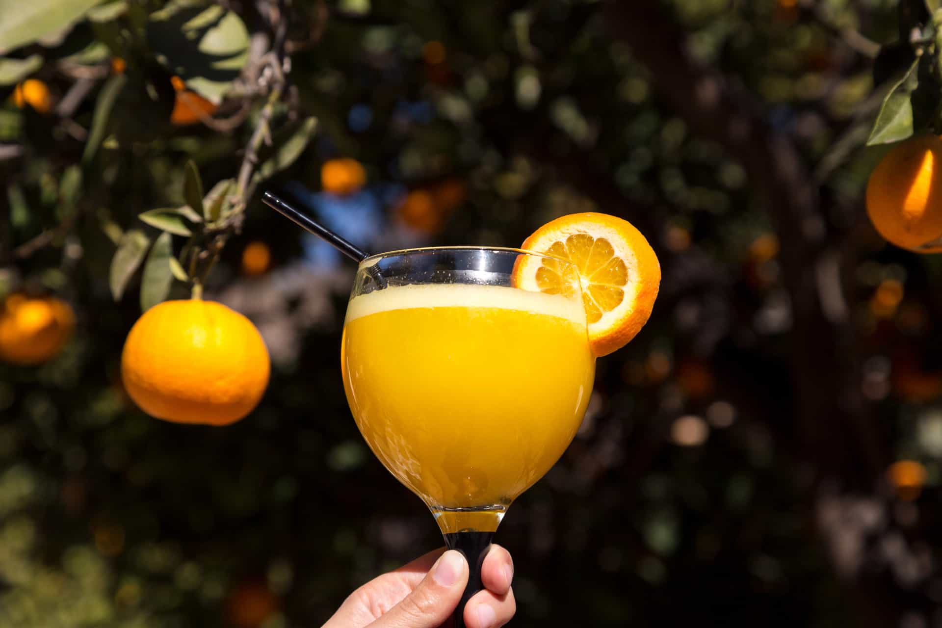 Things you cannot do while pregnant