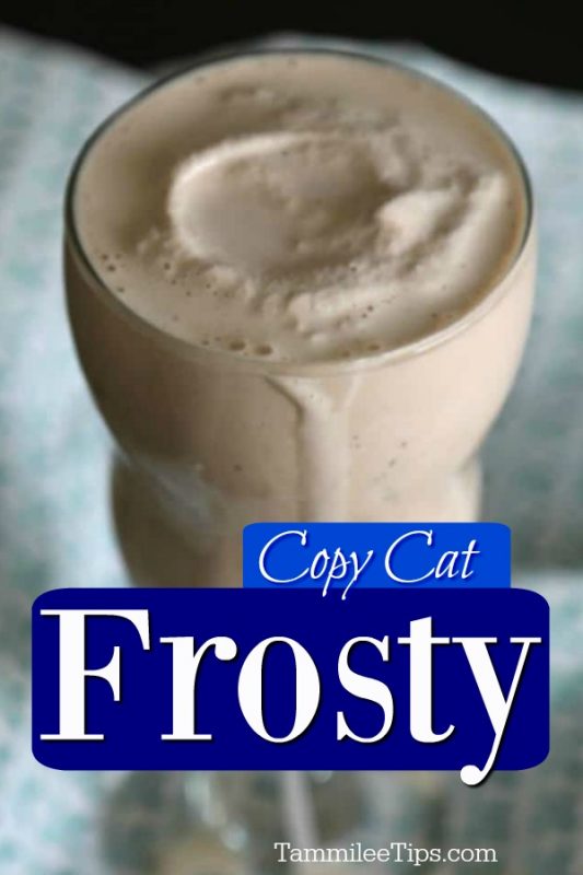 Copy Cat Wendy's Frosty Recipe