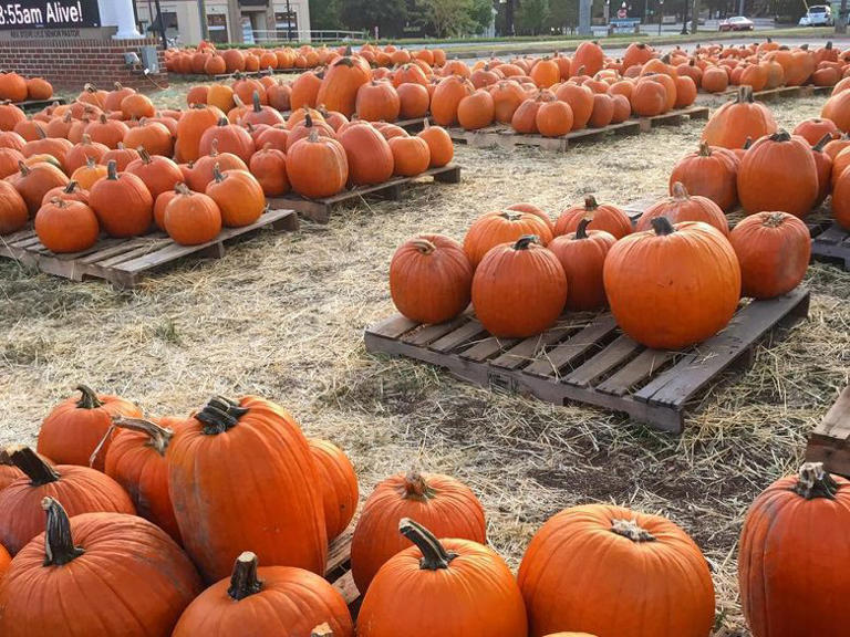 Fall in Atlanta: 10 Fun Things to Do