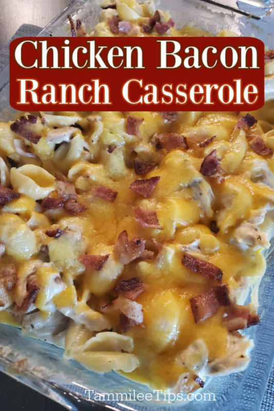 Easy Cheesy Chicken Bacon Ranch Casserole Recipe 2822