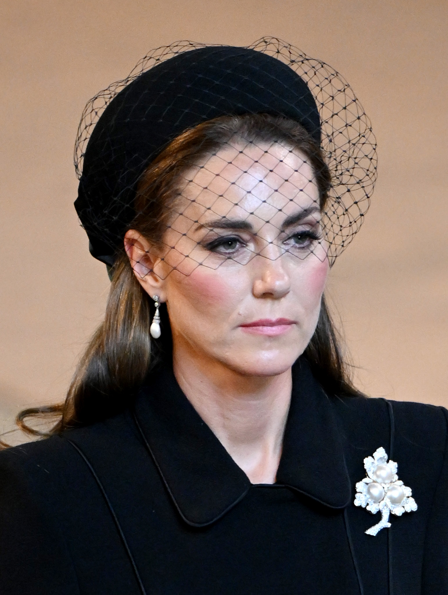 <p>Princess Kate -- wearing late mother-in-law Princess Diana's Collingwood pearl drop earrings -- paid her respects in the Palace of Westminster in London on Sept. 14, 2022, after Queen Elizabeth II's coffin arrived from Buckingham Palace to begin her lying-in-state five days ahead of her funeral.</p>