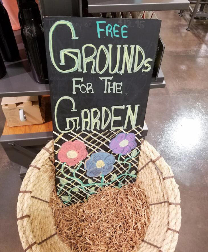 Are Coffee Grounds Good for Houseplants? (Yes, But Read These Important