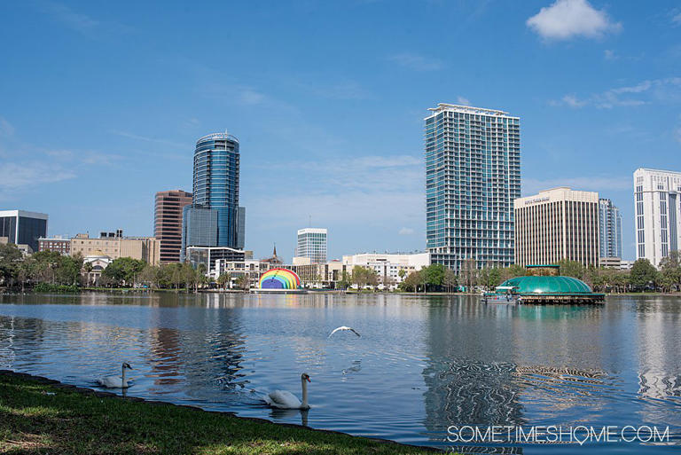 18 Fun Adult Things to Do in Orlando