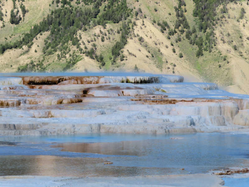 Mammoth Hot Springs Yellowstone National Park