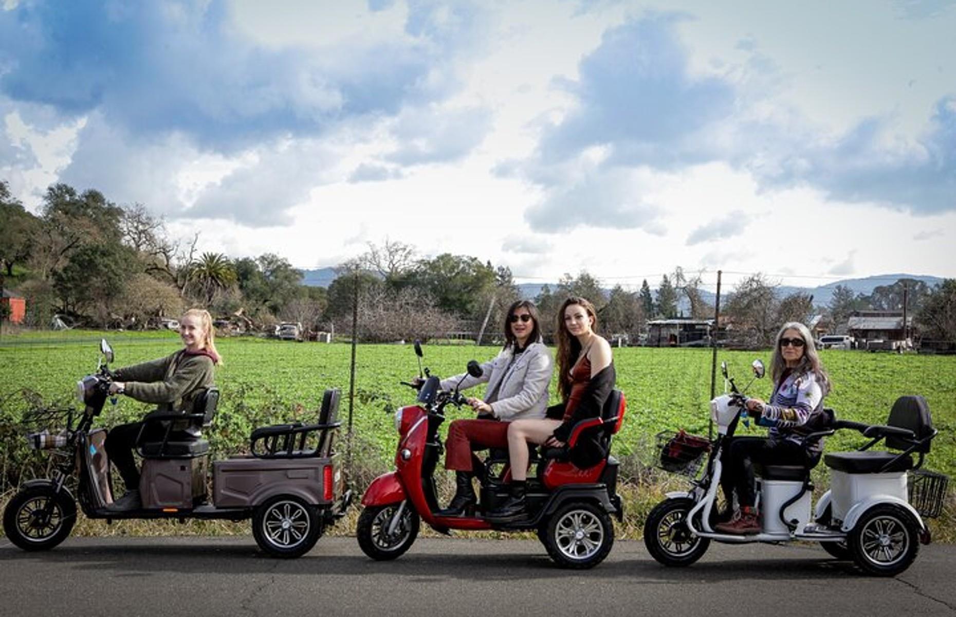 <p>Although they offer something a little different from the conventional e-biking experience, the e-trikes provided by <a href="https://www.pushpakmotors.net/">Pushpak Motors</a> are a fun and environmentally friendly way to explore California’s wine country. With space for two riders apiece, these three-wheeled electric trikes will whizz you past scenic vineyards in no time – with plenty of stops along the way.</p>  <p><a href="https://www.loveexploring.com/galleries/141218/americas-best-destinations-for-wine-lovers"><strong>Check out America's best destinations for wine lovers</strong></a></p>