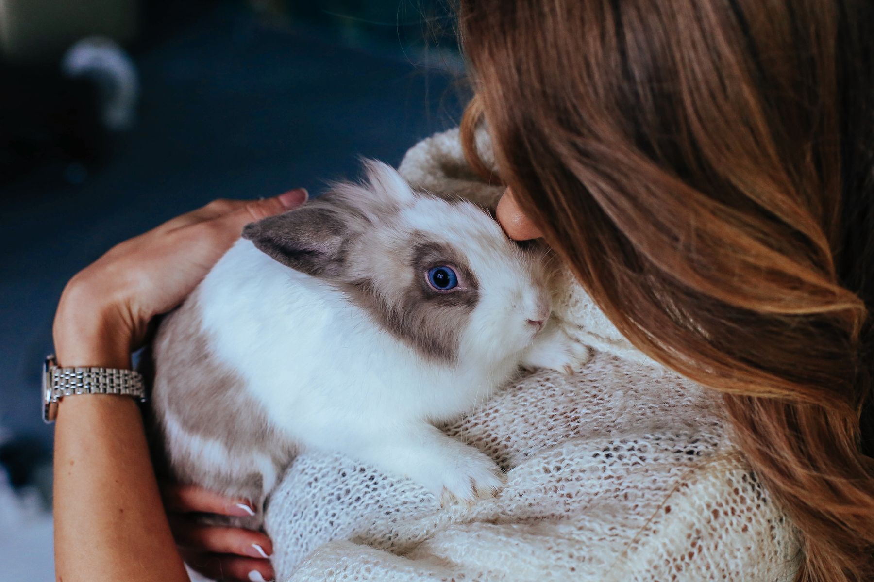 Сейчас заботишься. Кролик на руках у девушки дома. Гладит спину кролика. Кролик в берете. Девочка очень сильно обнимает кролика.
