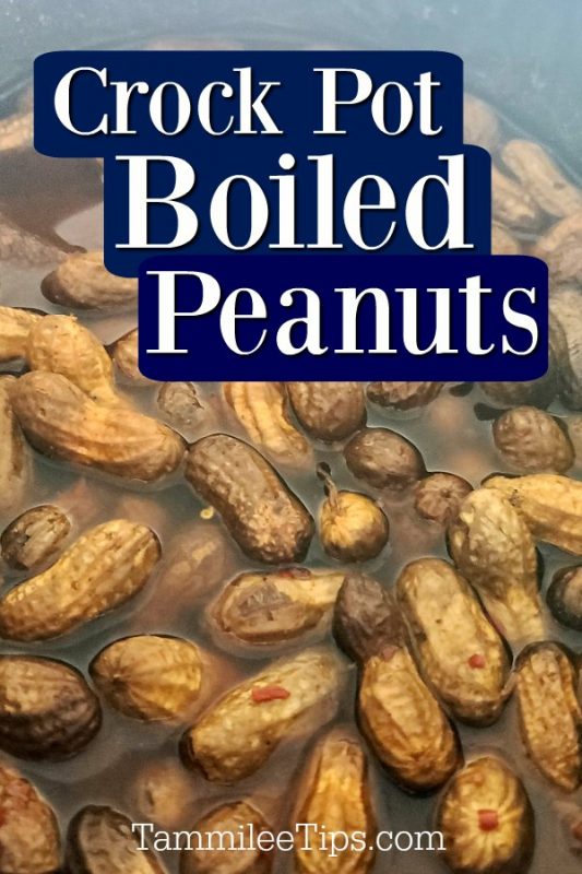 Crock Pot Cajun Boiled Peanuts Recipe