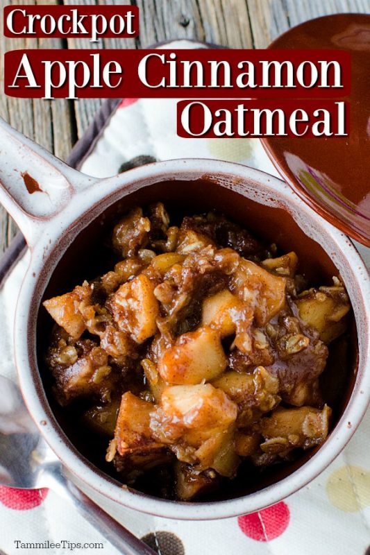 Crock Pot Apple Cinnamon Oatmeal Recipe