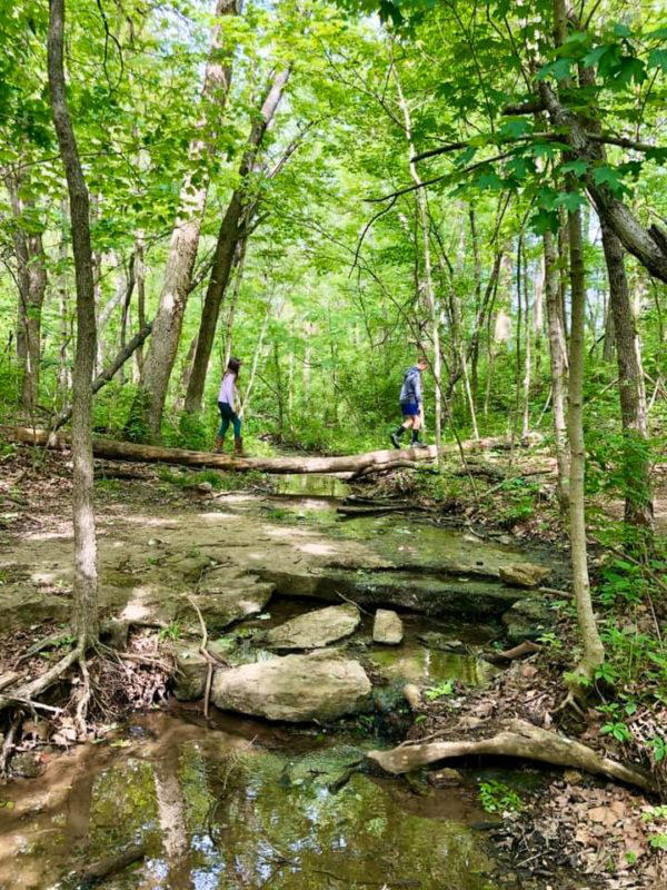 Feed Animals And Go Hiking At Blackacre Conservancy