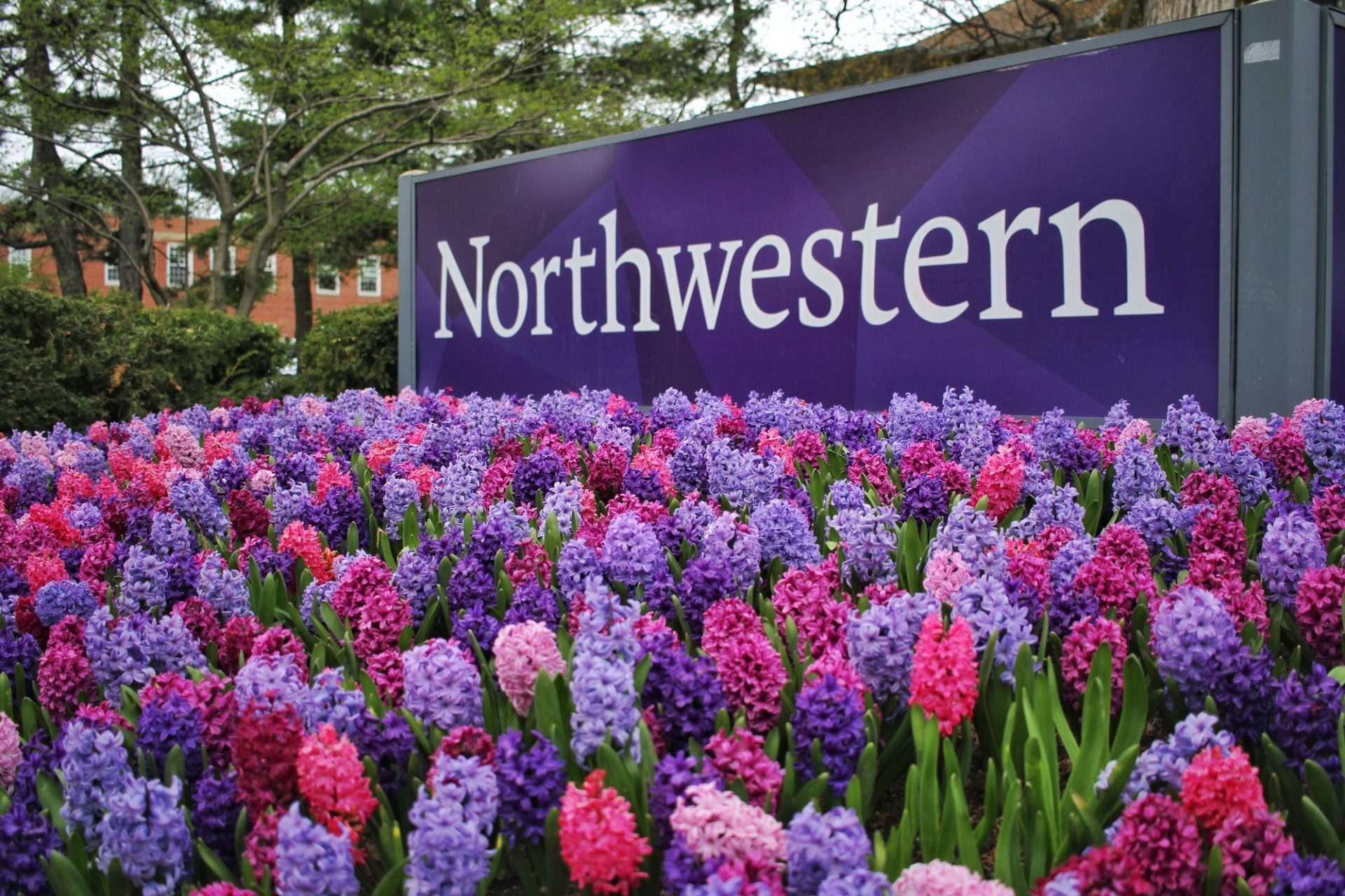 <p>30. Northwestern University (Estados Unidos)</p>