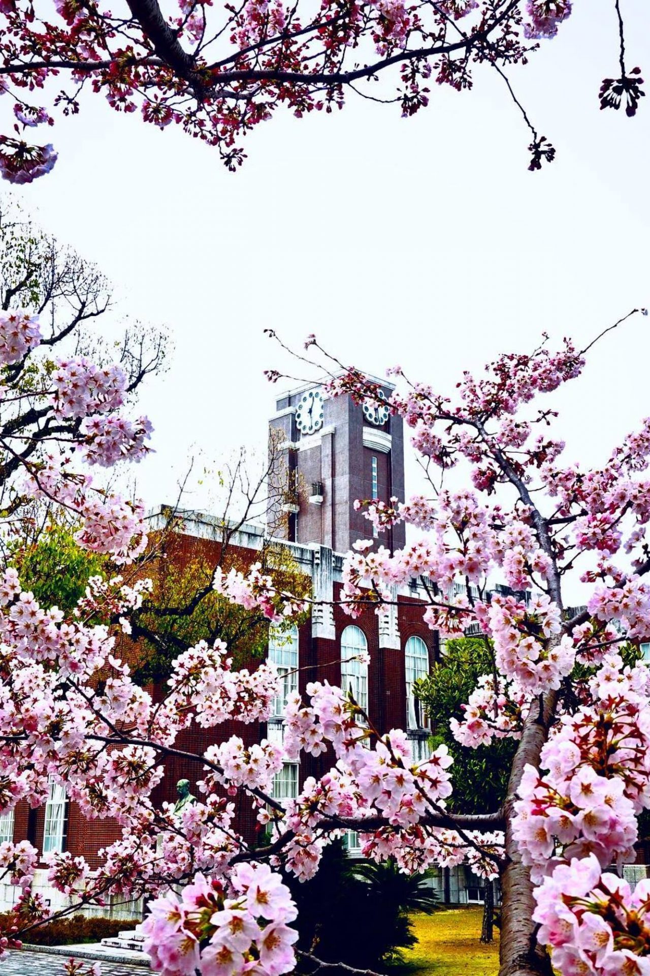 <p>42. Kyoto University (Japón)</p>