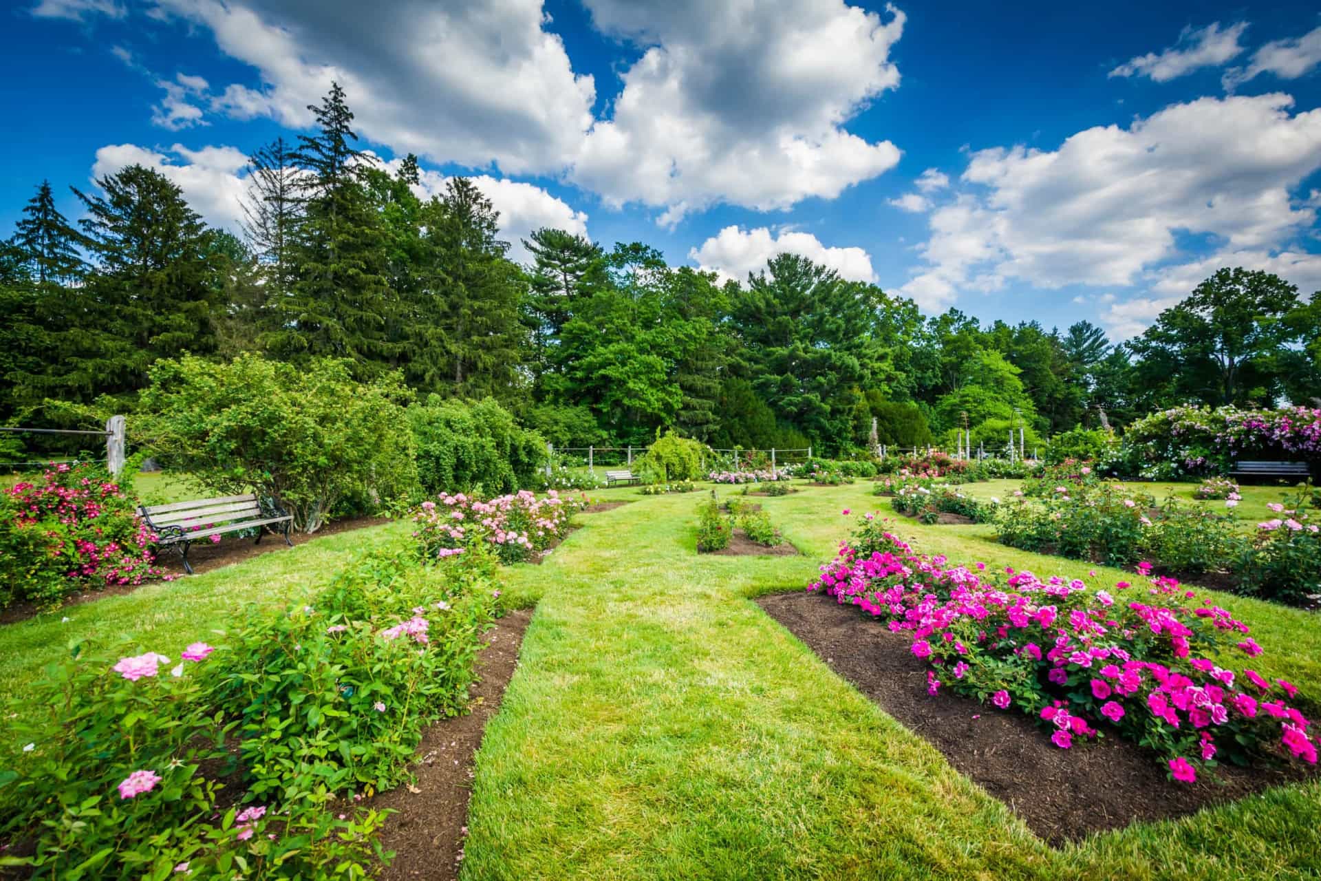<p>Over 100 acres of formal gardens sown with more than 15,000 plants and an incredible 800 varieties of roses is why America's oldest public rose garden, opened in 1897, is also one of the country's largest.</p><p>You may also like: <a href="https://www.starsinsider.com/n/322347?utm_source=msn.com&utm_medium=display&utm_campaign=referral_description&utm_content=513982en-us">Celebrities who quit veganism</a></p>