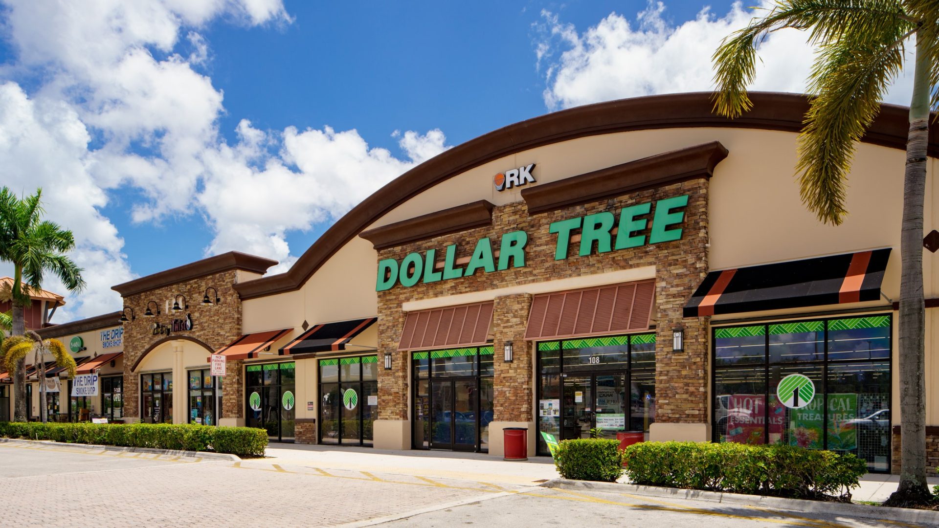 20 Best New Items Available at Dollar Tree for Halloween 2023