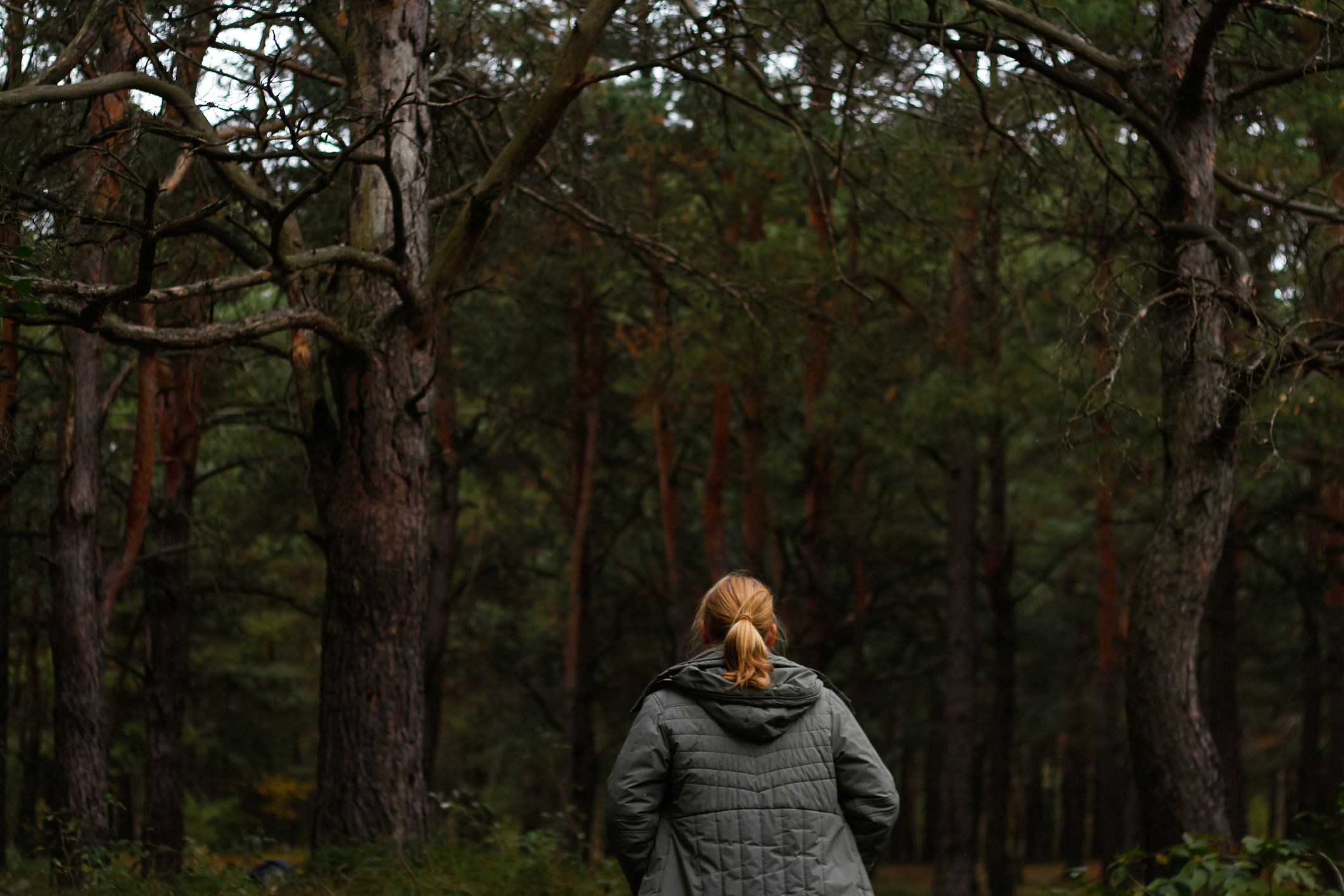 15 Haunted Hikes in the US to Embark on (if You Dare)