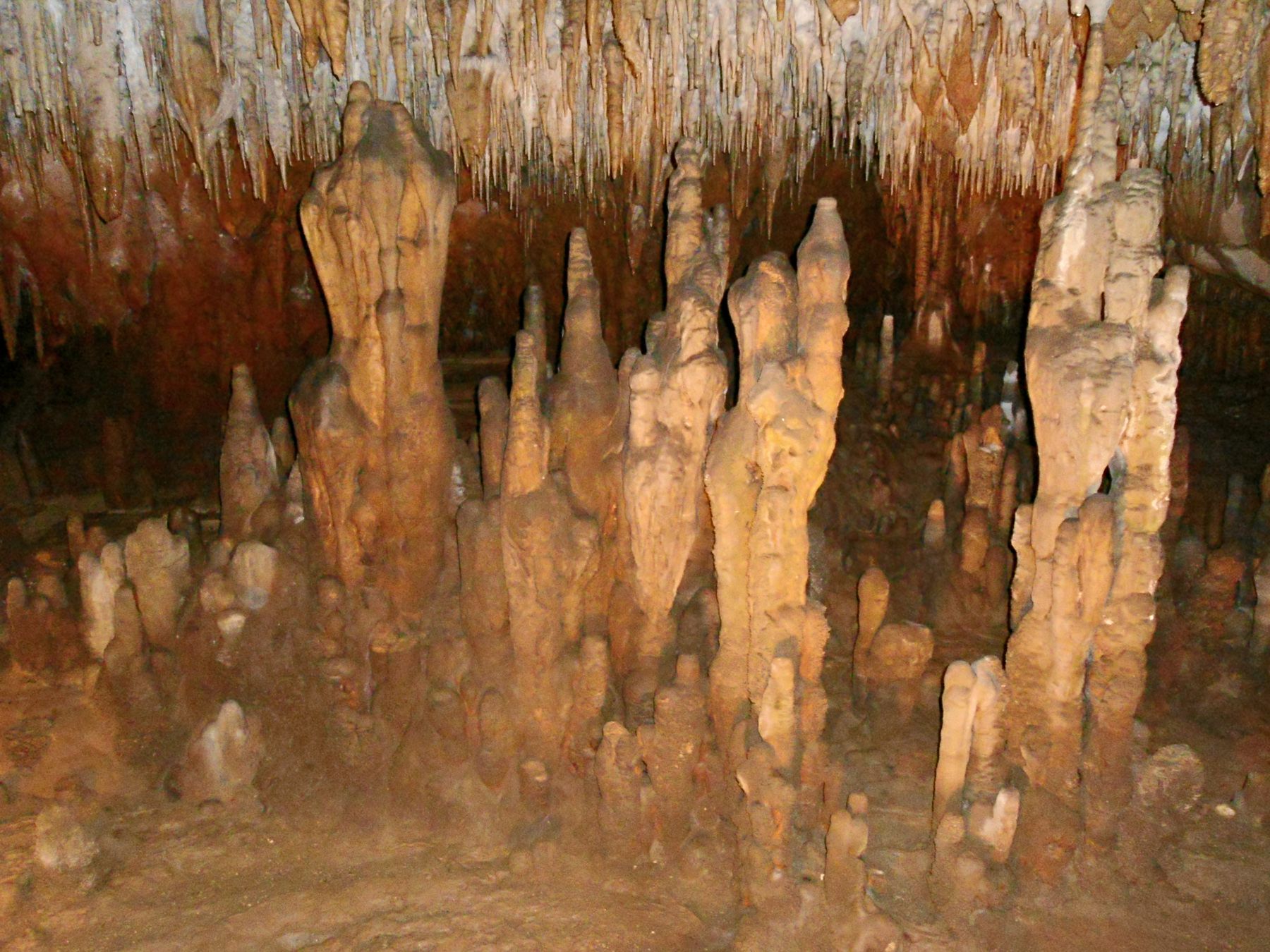 <p><b>Marianna, Florida</b></p><p>Stalactites and stalagmites abound in the depths of <a href="https://www.floridastateparks.org/parks-and-trails/florida-caverns-state-park">Florida Caverns</a>. Visitors can explore the limestone underground cave system that is amplified with a new LED lighting system for a truly colorful experience. Tours cost $10.75 for ages 13 and up; $5 for ages 3 to 12.</p>