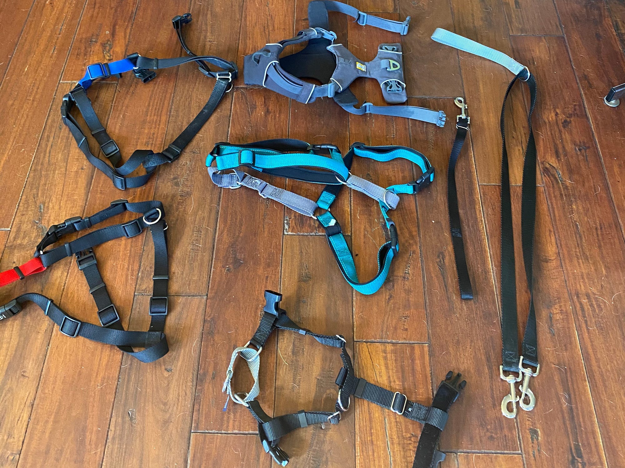 <p>We considered the most popular harnesses on the market and solicited opinions from professional dog walkers and dog trainers who were already using the brands under consideration.</p><p>Three shelter staff and two volunteer shelter walkers then tested the harnesses on walks with more than two dozen rescue dogs at Family Dog Rescue in San Francisco over a period of eight weeks. The dogs were all medium and large-size (over 50 pounds) and chosen because they were known to be difficult to walk due to overexcitability, lack of training, or reactivity. Dogs were walked with the tester harnesses for 30 to 60 minutes on city streets and in local parks.</p><p>Unmanageable leash pulling is typically a problem for dog owners with larger dogs, so we did not test these harnesses on dogs under 25 pounds. Many small dogs strain while on leash, but owners do not struggle with being pulled off their feet.</p><p>We also did not test head halters, as most dogs initially find them uncomfortable and will resist wearing them. The no-pull harnesses in this guide are a better choice for anyone looking for the least intrusive, minimally aversive <a href="https://m.iaabc.org/about/lima/#:~:text=%E2%80%9CLIMA%E2%80%9D%20is%20an%20acronym%20for,training%20or%20behavior%20change%20objective." rel="noopener">(LIMA)</a> approach to dog training and behavior modification. If you'd like to learn more about head halters, read about them in our guide to the <a href="https://www.insider.com/guides/pets/best-dog-harness" rel="noopener">best dog harnesses</a>.</p><p> We rated each harness according to the following criteria:</p><ul><li><strong>Prevents pulling:</strong> We assessed how well it prevented dogs from pulling on leash while walking. Dogs were walked for a minimum of 30 minutes on 4-foot leashes.</li><li><strong>Does not impede or restrict movement:</strong> Harnesses were tested on dogs of different sizes and shapes to check for sagging and straps that lay over the dog's front legs and shoulders.</li><li><strong>Does not chafe or rub</strong>: We tested harnesses on both long- and short-haired dogs to check for chafing or rubbing.</li><li><strong>Dog cannot slip or back out of the harness</strong>: Because these harnesses were tested on shelter dogs who tend to be flight risks, this was a crucial consideration.</li><li><strong>Easy to put on and take off/ease of adjusting</strong>: Putting on or adjusting your dog's harness shouldn't be frustrating. Our shelter volunteers and testers were asked to record their impressions when first putting the tester harnesses on dogs.</li><li><strong>Durability and washability:</strong> We asked professional dog walkers for their opinions on how well these wear over time and whether they hold up after multiple washes.</li><li><strong>Initial cost and replacement cost</strong>: We considered whether the price of the harness is justified and how easy it is to replace if chewed.</li></ul>