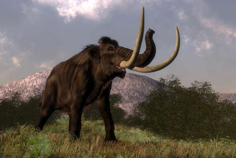 Prehistoric animals you won't believe existed