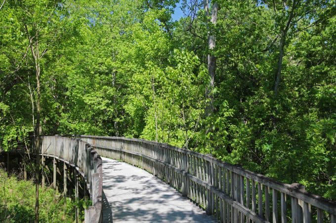 Epic Guide to Mammoth Cave National Park