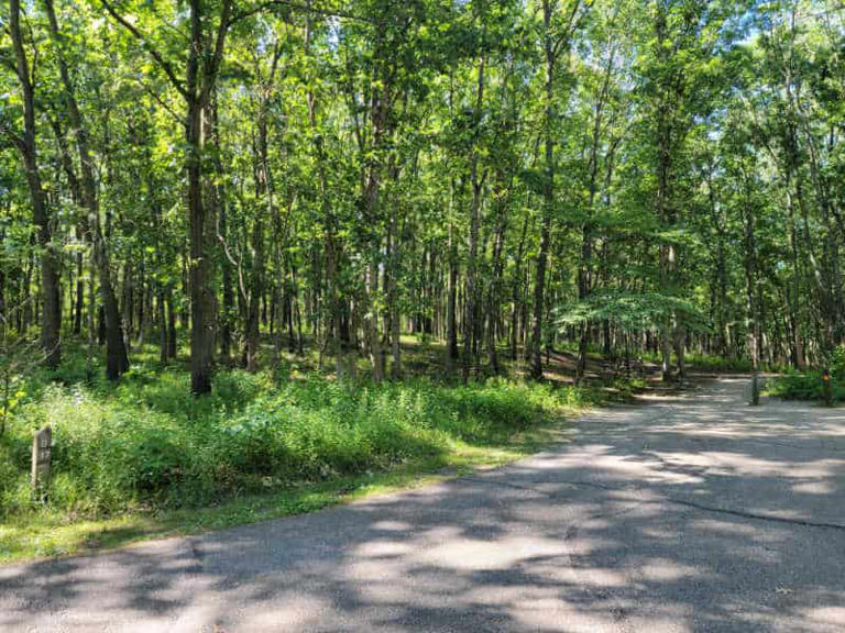 Dunewood Campground Indiana Dunes National Park