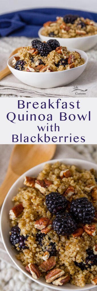 Breakfast Quinoa Bowl with Blackberries