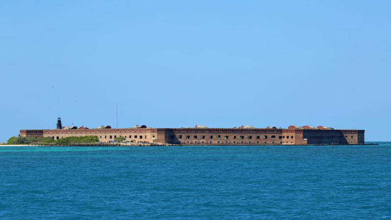 Complete Guide to Dry Tortugas National Park