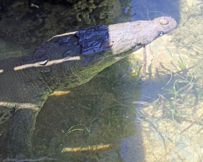 Complete Guide to Dry Tortugas - AA12Dl6a.img