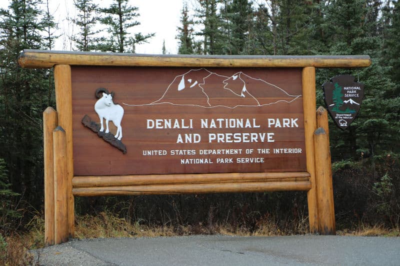 Complete Guide To Denali National Park And Preserve, Alaska