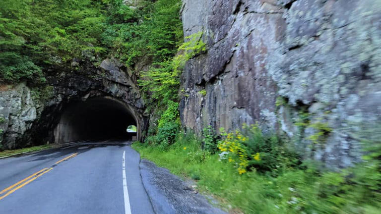 Complete Guide To Shenandoah National Park