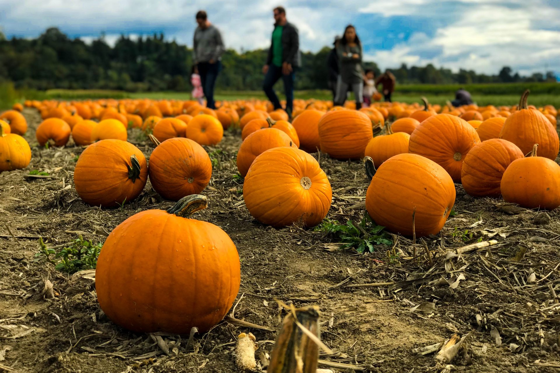 what-s-the-difference-between-canadian-and-american-thanksgiving