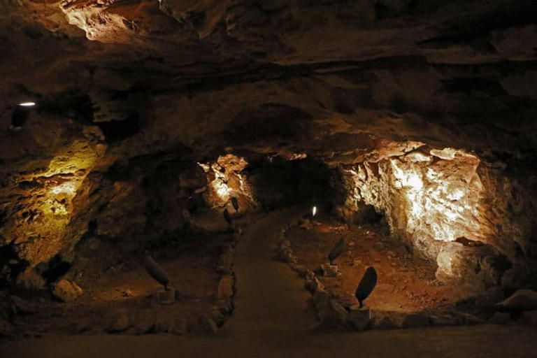 Complete guide to Wind Cave National Park