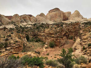 A gorgeous Capitol Reef Hike - Capitol Gorge