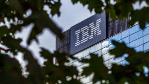 Photo of IBM (IBM) building as seen through the canopy of a tree. IBM logo is in large letters on side of building.