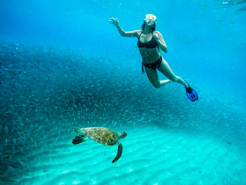 Snorkeling in Curacao