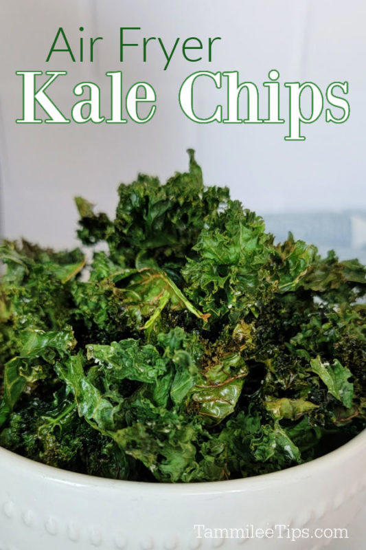 Easy Air Fryer Kale Chips Recipe