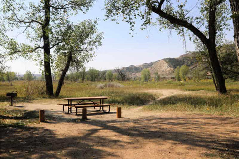 Ultimate Theodore Roosevelt National Park Guide