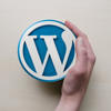 What is the point of WordPress website builders? We asked 4 experts, here is what they said.<br>