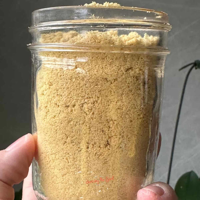 Garlic Powder (how To Make Homemade)