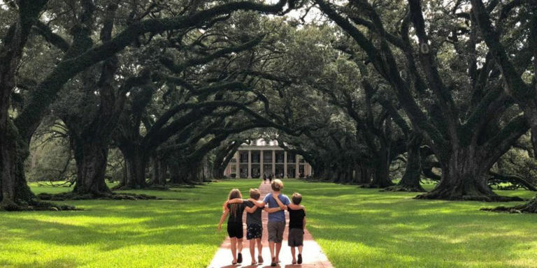 Here is a list of the best plantation tour New Orleans has for kids. Everyone will learn something on these tours from young to old.
