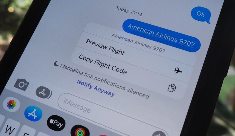 Text the code to preview your flight. Nelson Aguilar/CNET