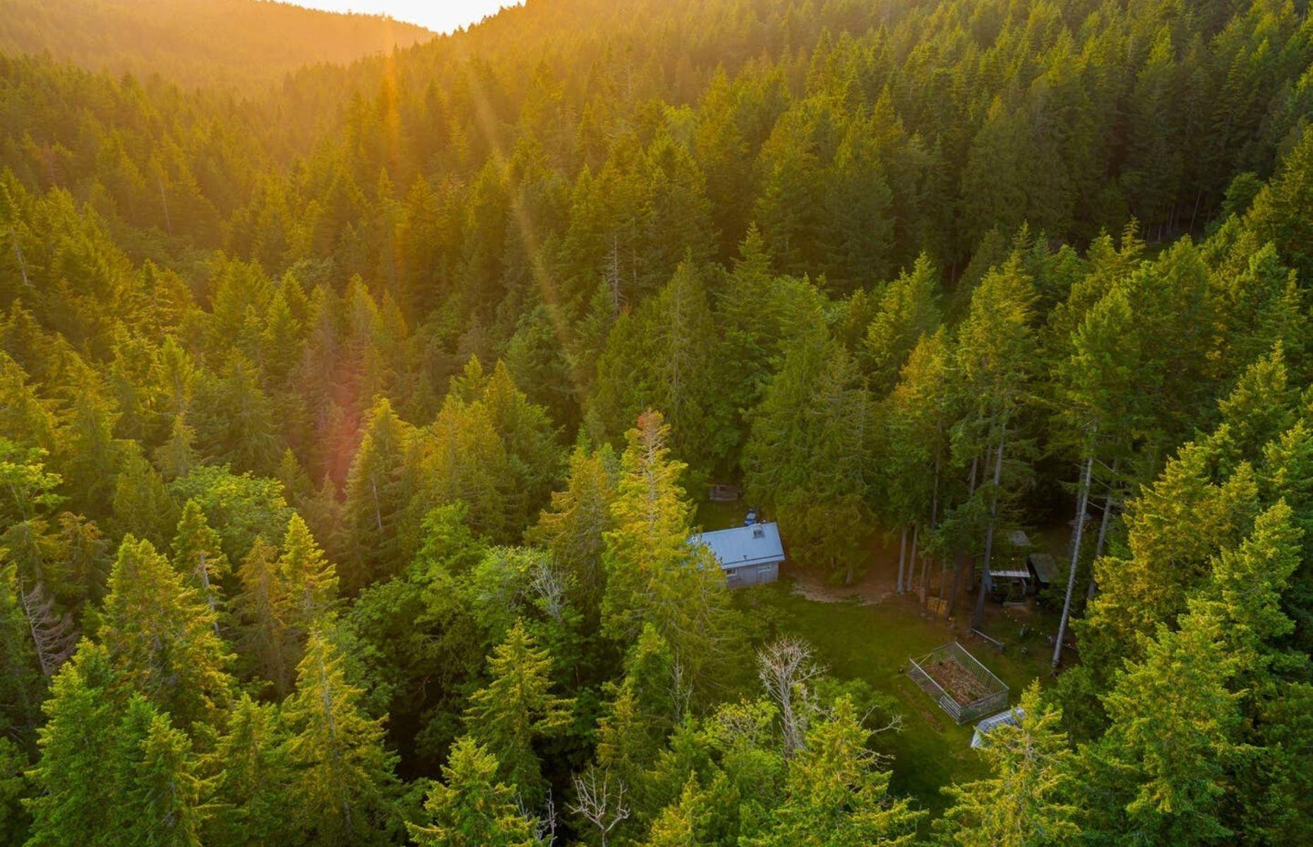 <p>This <a href="https://www.airbnb.co.uk/rooms/24869992?">Airbnb</a> tiny home can be found nestled in the woods of the highly sought-after Salt Spring Island in British Columbia. Just moments from Mount Maxwell Provincial Park, this custom-made cabin was built in 2019 and makes the most of the serene mountain landscape around which it stands. With three charming acres of land to play with, as well as an attractive creek, this dreamy dwelling is pure bliss.</p>