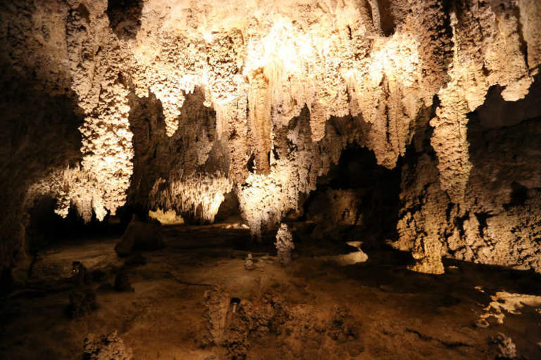 Complete Guide To Carlsbad Caverns National Park