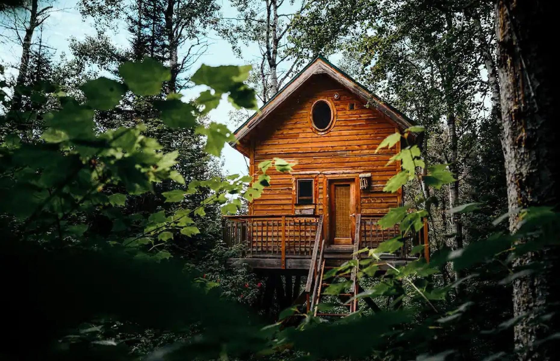 <p>Located east of Québec City and just across the St Lawrence from Maine, Sacré-Coeur is a municipality on Saguenay Fjord, an area known for its remarkable biodiversity. Up to four guests can sleep like the many birds in the area in this <a href="https://www.airbnb.co.uk/rooms/719263?adults=1&category_tag=Tag%3A8186&children=0&infants=0&check_in=2022-10-31&check_out=2022-11-05&federated_search_id=911a7dad-57a4-4cc9-b8ef-86e7668676f6&source_impression_id=p3_1662845942_FSrtcAHXTqxIjmXr">cute and ultra-cozy cabin</a> in the trees. It’s fitted with picture windows so guests can make the most of their bird’s-eye view. The cabin is open year-round, though in winter visitors have to make do without running water. </p>