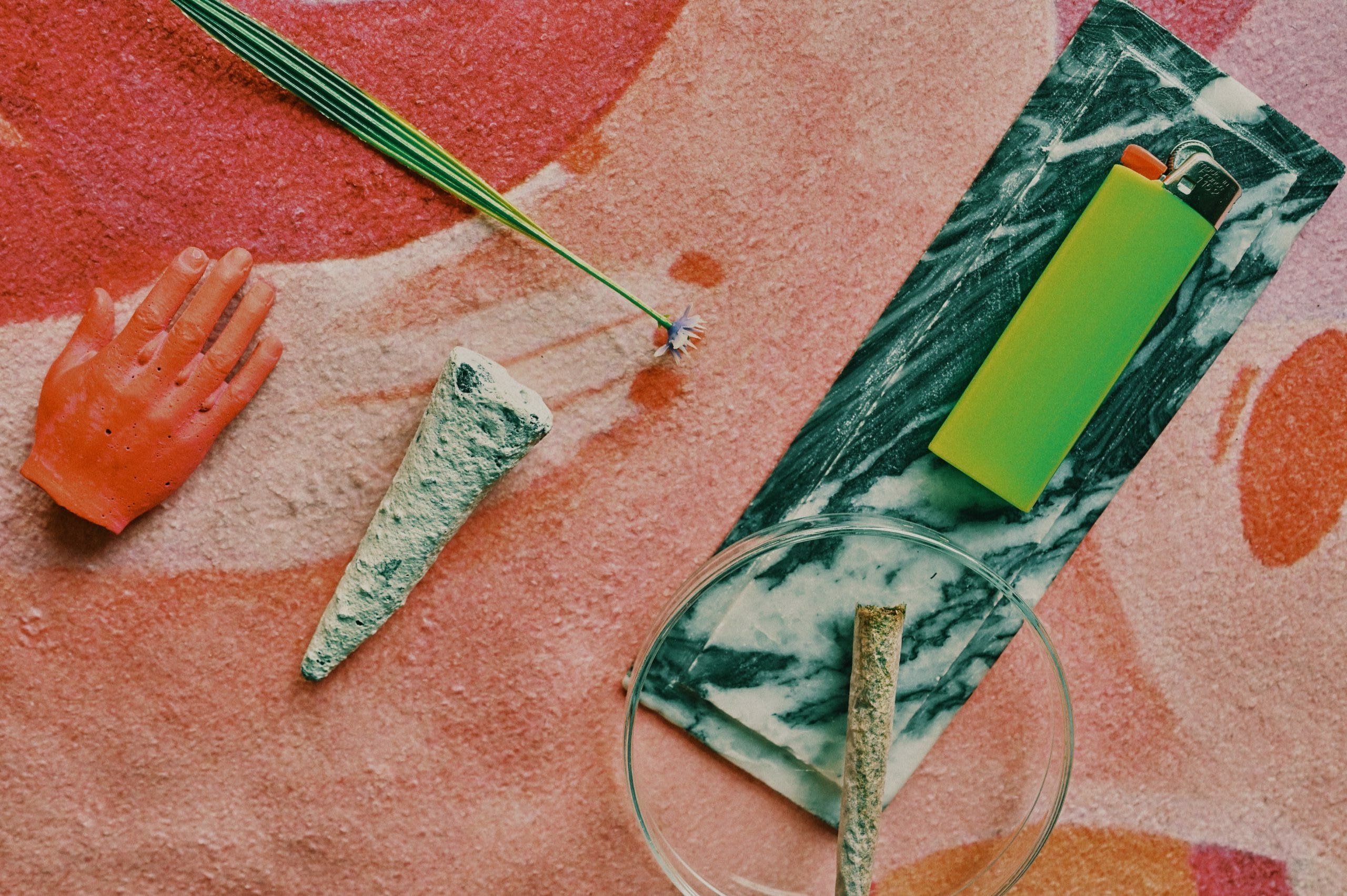 ¿Qué Es la Changa? Todo sobre Este Psicodélico Similar a la Ayahuasca