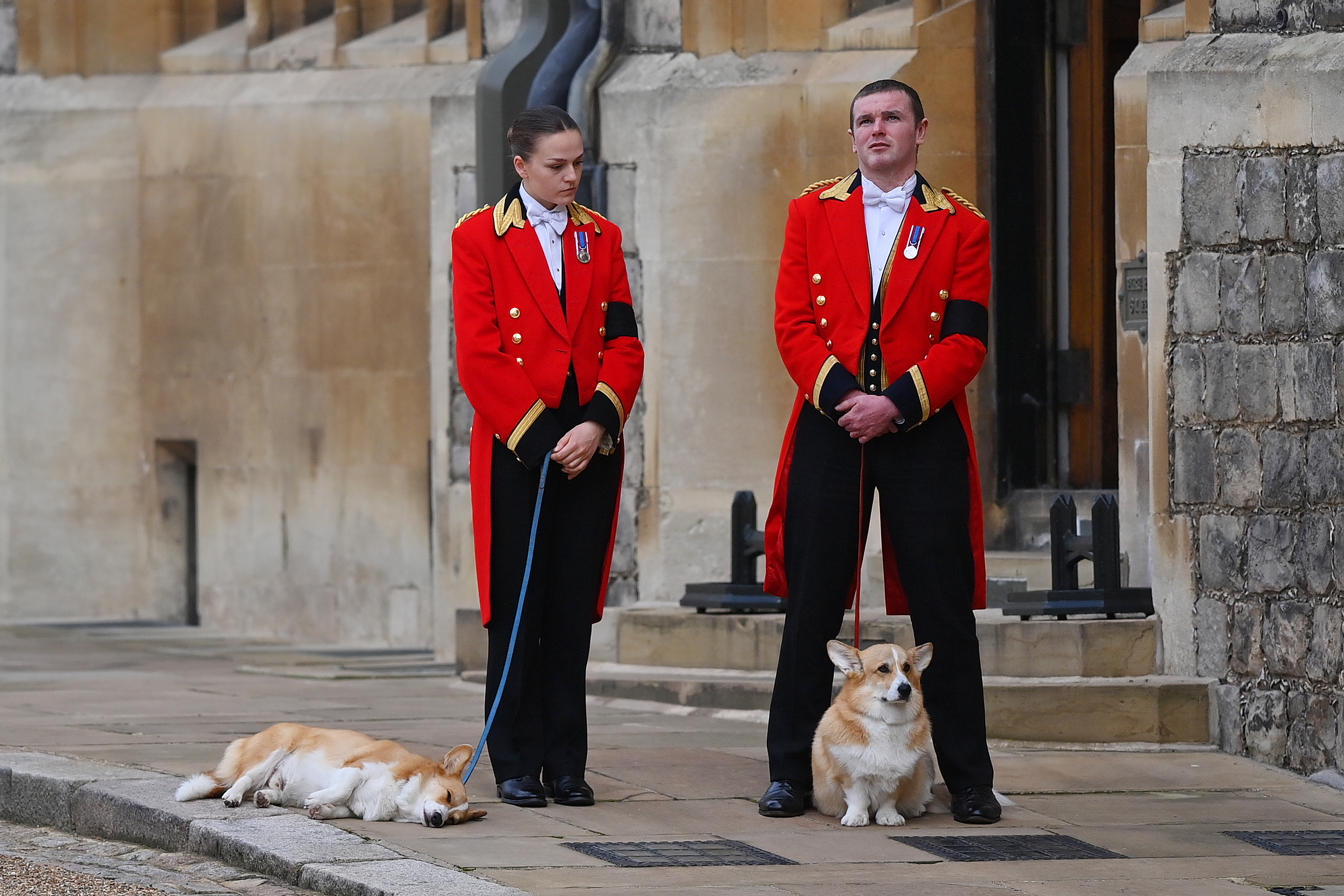 <p>Her dogs were there too: Members of the Royal Household stood with two of Queen Elizabeth's beloved corgis, Muick and Sandy, as they awaited the arrival of <a href="https://www.wonderwall.com/celebrity/royals/best-photos-from-queen-elizabeth-ii-funeral-king-charles-princes-william-prince-harry-george-charlotte-kate-meghan652347.gallery">the monarch's funeral cortege</a> at Windsor Castle in Windsor, England, on Sept. 19, 2022. </p>