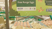 Morrisons unveils 'carbon-neutral' eggs