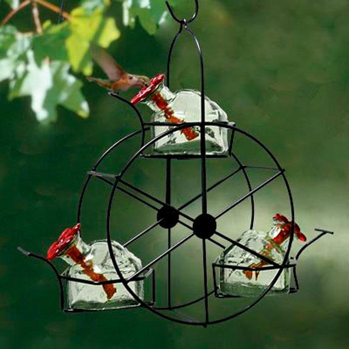 11 Amazing Hummingbird Feeders For Your Backyard