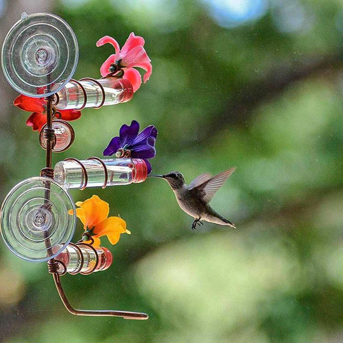 11 Amazing Hummingbird Feeders for Your Backyard